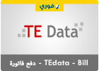 فاتورة تى داتا